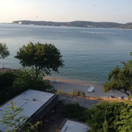 Barboj ウマグ